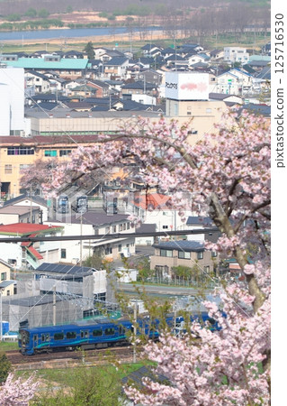 信濃鐵道SR1系列車在盛開的櫻花和千曲川的映襯下行駛_照片拍攝於2025年4月19日 125716530