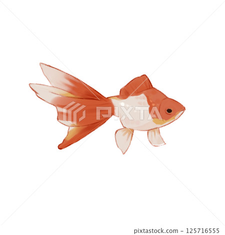 手繪金魚 125716555