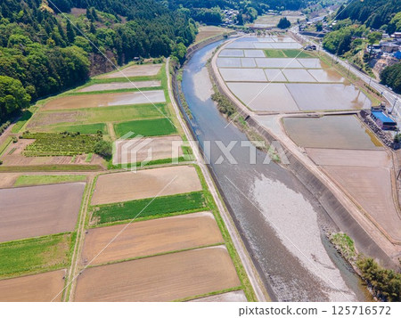 黃金周後的稻田風光 125716572