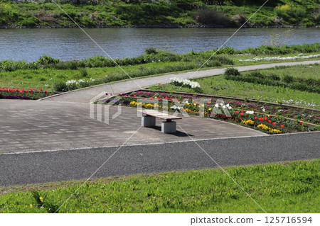 春天,河邊公園的花壇裡盛開著色彩繽紛的鬱金香和三色堇 春天,河邊公園的花壇裡盛開著色彩繽紛的鬱金香和三色堇 125716594