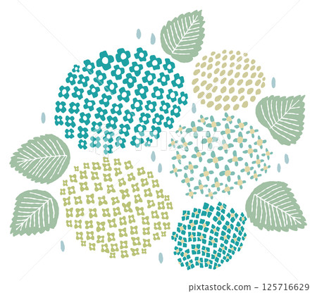 Hydrangea illustration Hydrangea illustration 125716629