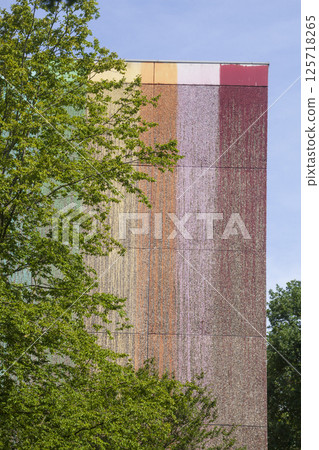Colorfully painted Monotones house, side view, Delmenhorst, Lower Saxony, Germany 125718265