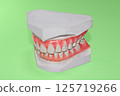 Plaster dental model, dental image, orthodontic model 125719266