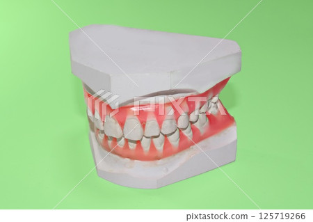 Plaster dental model, dental image, orthodontic model Plaster dental model, dental image, orthodontic model 125719266