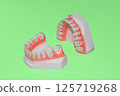 Plaster dental model, dental image, orthodontic model 125719268