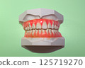Plaster dental model, dental image, orthodontic model 125719270