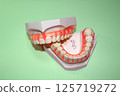 Plaster dental model, dental image, orthodontic model 125719272