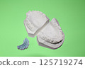 Plaster dental model, dental image, orthodontic model 125719274