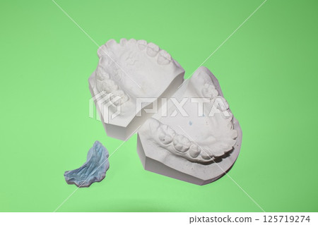 Plaster dental model, dental image, orthodontic model 125719274