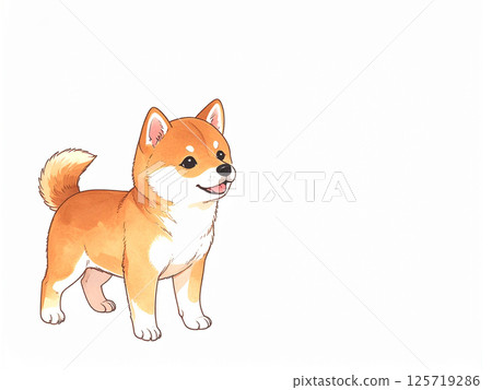 Shiba Inu Shiba Inu 125719286