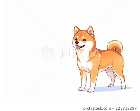 Shiba Inu 125719287