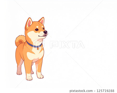 Shiba Inu Shiba Inu 125719288