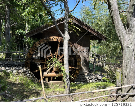 This watermill is surrounded by trees in Kodaira Furusato Village, Kodaira City, Tokyo. 125719321