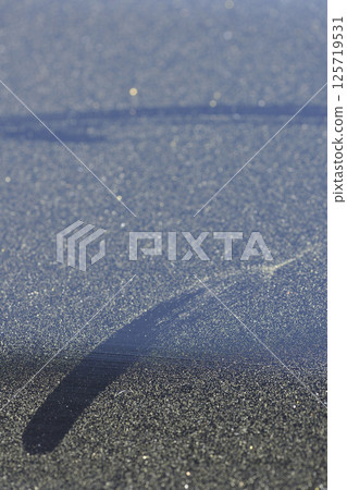 陽台欄桿上的花粉 125719531