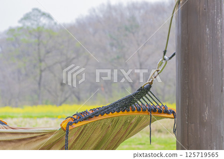 Hammock outdoor image material 125719565