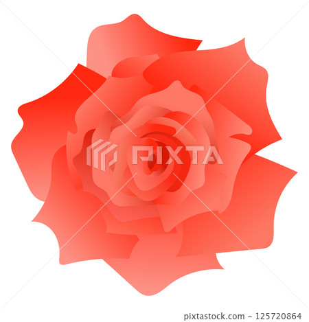 紅玫瑰向量圖素材 125720864