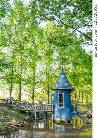 Moomin Valley of the fresh green 125720953