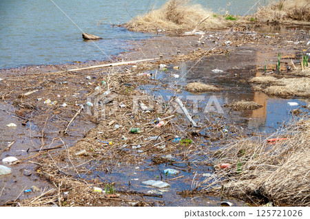 Driftwood and garbage collected on the river's edge 125721026