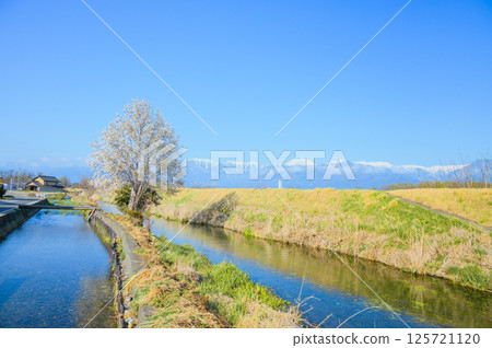 Magnolias, spring water river and Mount Jonen [Azumino City] 125721120