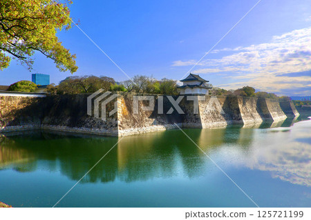 Osaka Castle - Outer Moat and Castle Grounds (Osaka City, Osaka Prefecture) 125721199