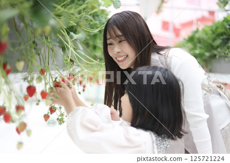家長和孩子一起體驗採摘草莓的樂趣 125721224