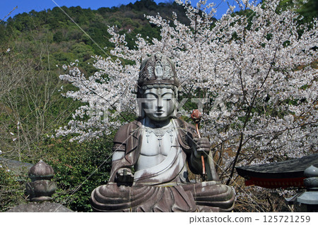 Glasses Memorial Kannon of Kosaka Temple 125721259