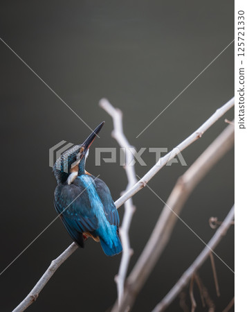 他好像注意到了什麼 他好像注意到了什麼 125721330