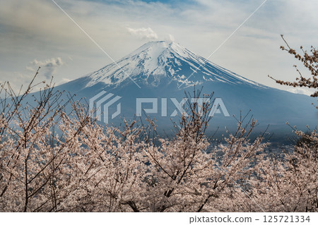 日本的四季 125721334