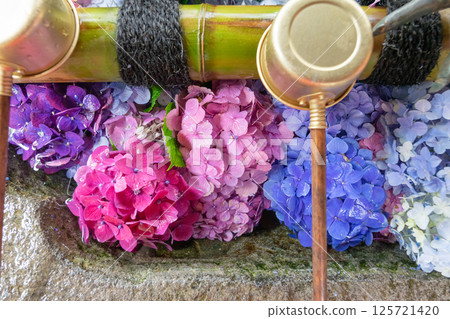 Colorful hydrangea flower fountain seen from above Colorful hydrangea flower fountain seen from above 125721420