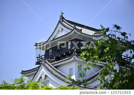 Okazaki Castle Keep (South Side) 125721933