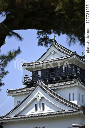 Okazaki Castle Keep (South Side) 125721935