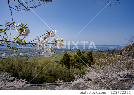 常山公園的櫻花與和泉市的街景 125722252