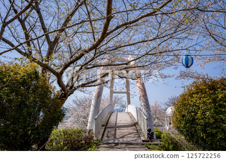 常山公園的櫻花（和泉市） 125722256
