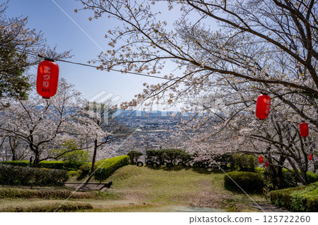 常山公園的櫻花（和泉市） 125722260