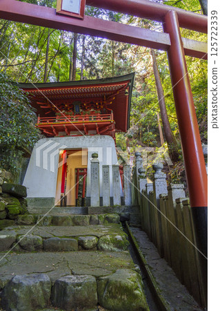狸谷山不動院白龍辨財天(京都市左京區一乘寺) 狸谷山不動院白龍辨財天(京都市左京區一乘寺) 125722339