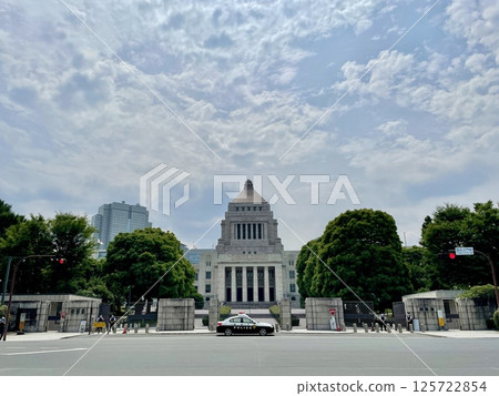 The National Diet as seen from in front of the National Diet Building The National Diet as seen from in front of the National Diet Building 125722854