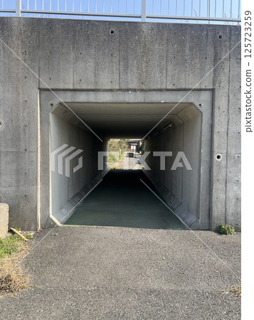 Tunnels installed on bridge piers 125723259
