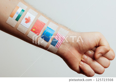 Flags of Major Economies on Arm - Global Trade Concept Flags of Major Economies on Arm - Global Trade Concept 125723508
