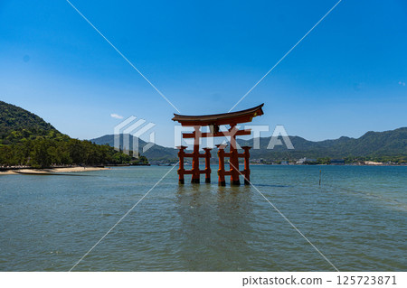 Toriijima神社神社鳥居 Toriijima神社神社鳥居 125723871