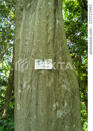 甲影山山頂（神奈川縣相模原市名倉） 125723981