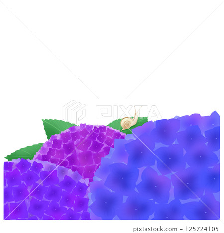 三色繡球花的背景 125724105