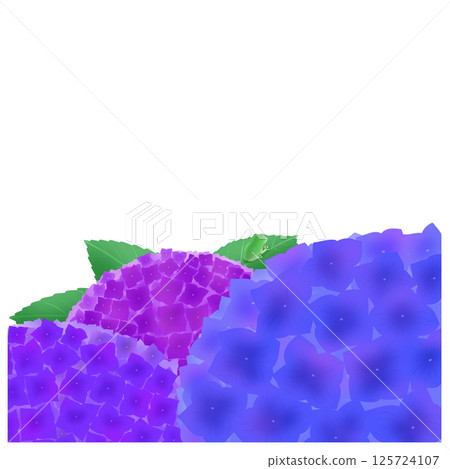 Background with three-color hydrangea 125724107