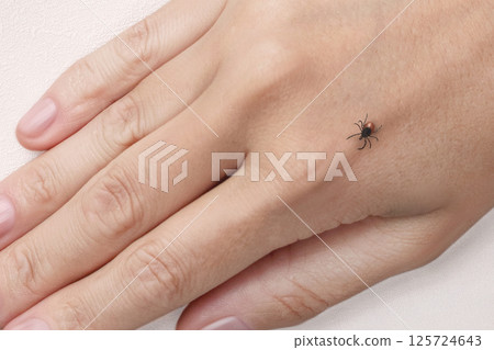 Dangerous tick on a woman hand, close up Dangerous tick on a woman hand, close up 125724643