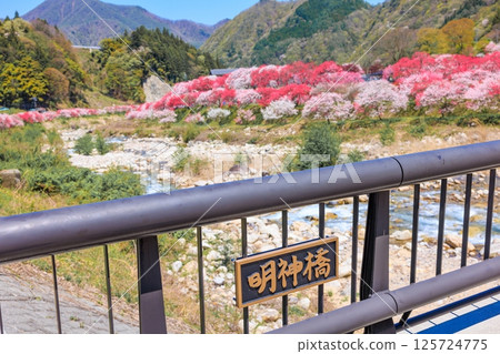 桃花村[長野縣下伊那郡阿智村] 125724775