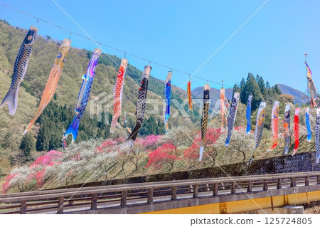 桃花村[長野縣下伊那郡阿智村] 125724805