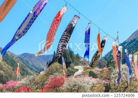 桃花村[長野縣下伊那郡阿智村] 125724806
