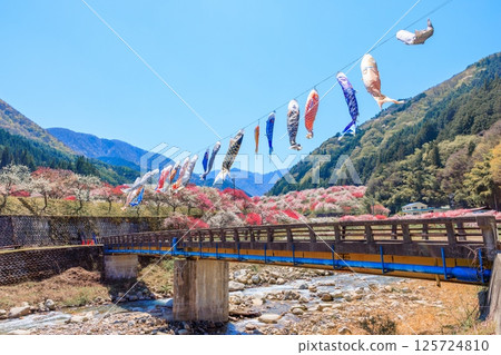 Hanamomo no Sato (Achi Village, Shimoina District, Nagano Prefecture) Hanamomo no Sato (Achi Village, Shimoina District, Nagano Prefecture) 125724810