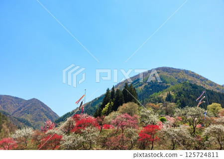 Hanamomo no Sato (Achi Village, Shimoina District, Nagano Prefecture) Hanamomo no Sato (Achi Village, Shimoina District, Nagano Prefecture) 125724811