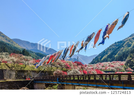 Hanamomo no Sato (Achi Village, Shimoina District, Nagano Prefecture) 125724813