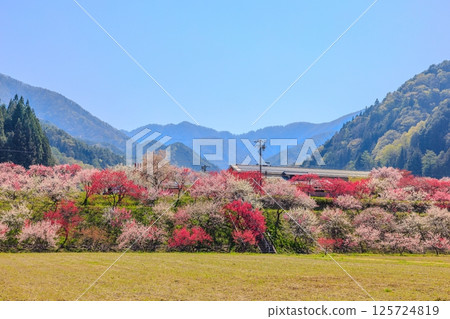 桃花村[長野縣下伊那郡阿智村] 125724819